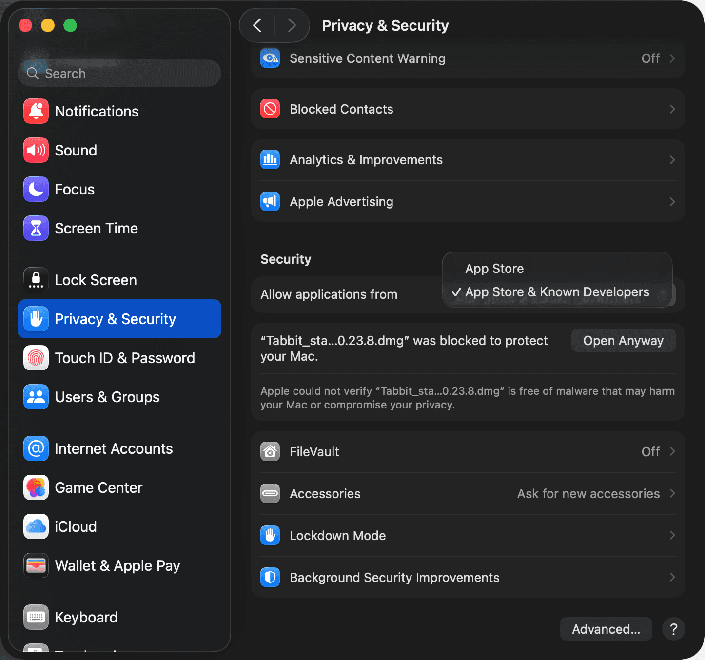 Privacy & Security settings showing the Open Anyway button