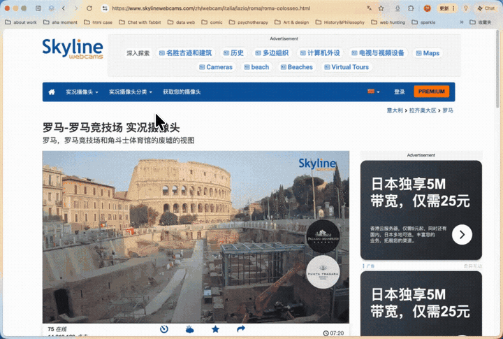 A live-camera detail page on SkylineWebcams